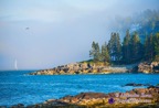 Bar-Harbor-01-copy.jpg