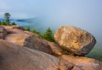 DSC_1193-copy.jpg