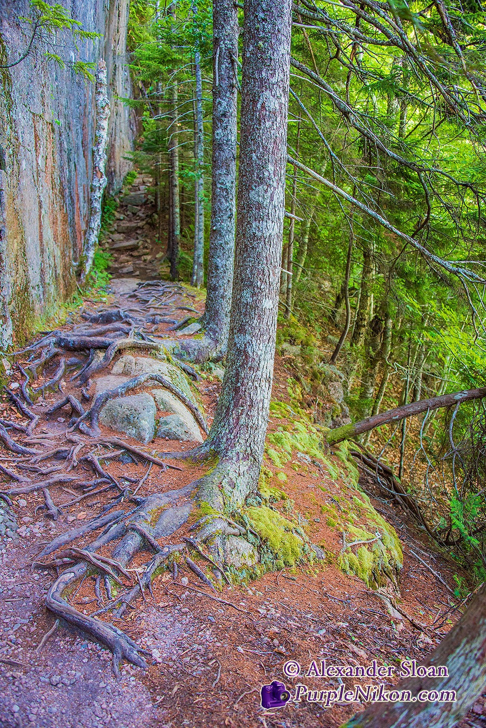 Acadia National Park